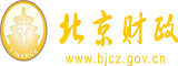 17c在线视频北京市财政局