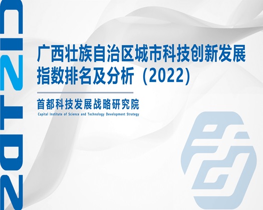 男女啊啊爽视频【成果发布】广西壮族自治区城市科技创新发展指数排名及分析（2022）